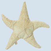 Shell and Starfish