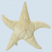 Shell and Starfish