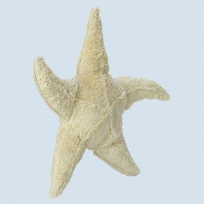 Senger cuddly animal - starfish, large, eco